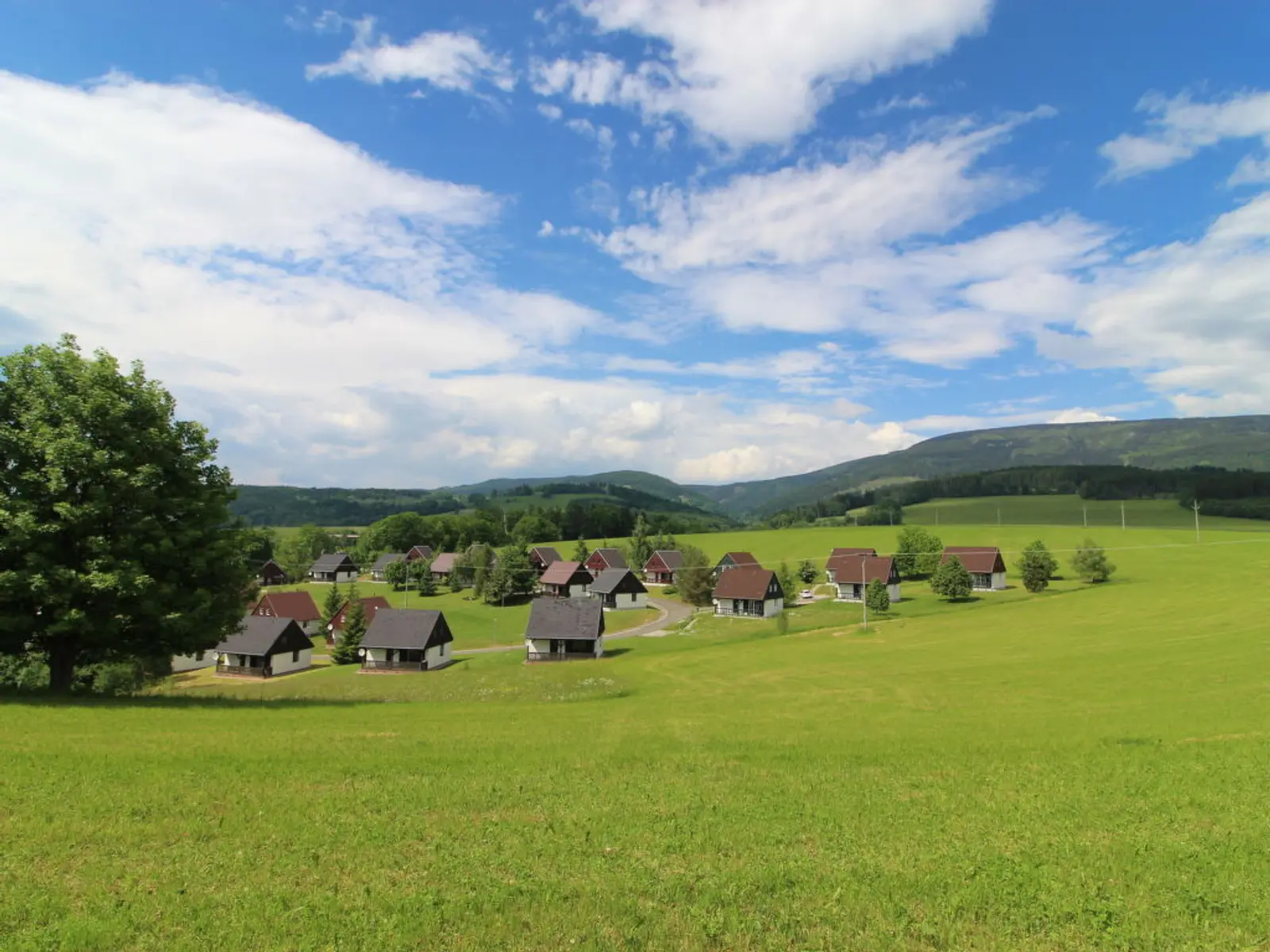 Park Happy Hill in de zomer