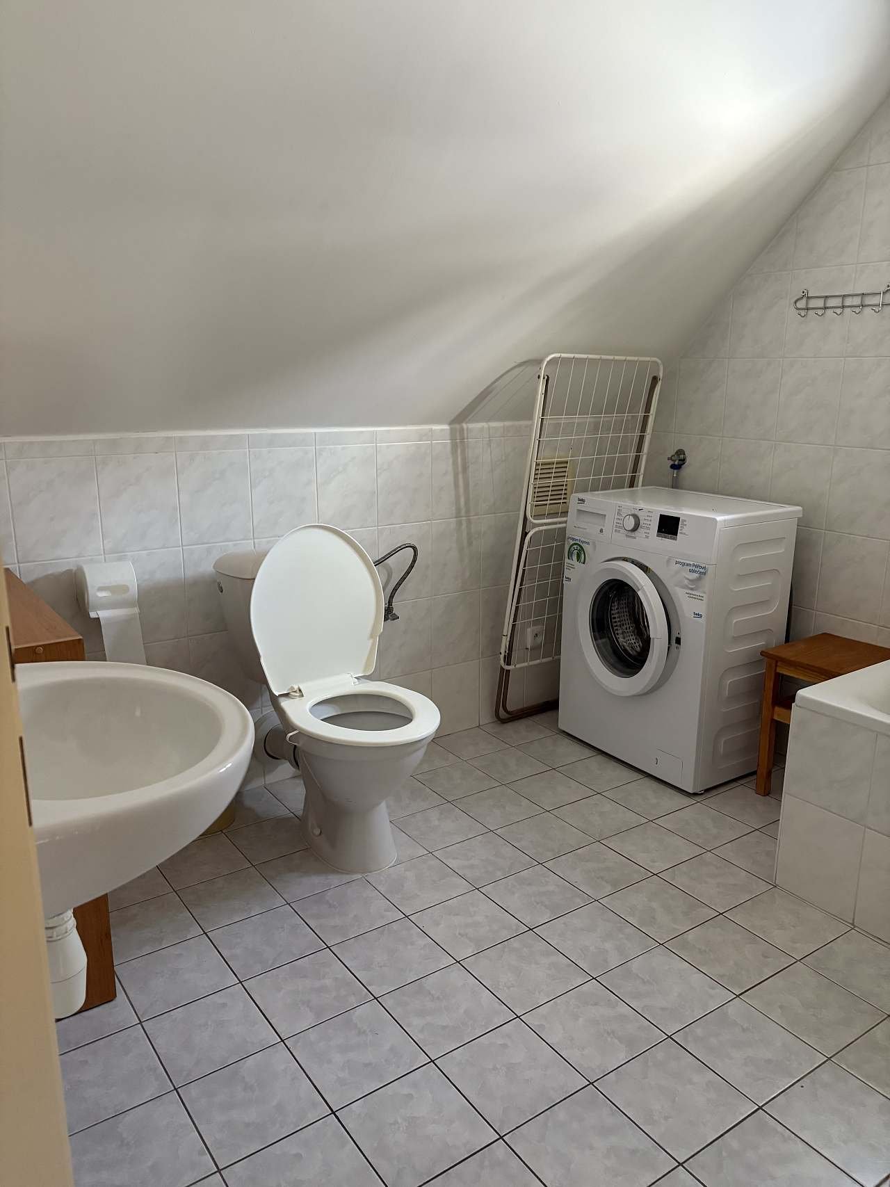 Badkamer met toilet en wasmachine
